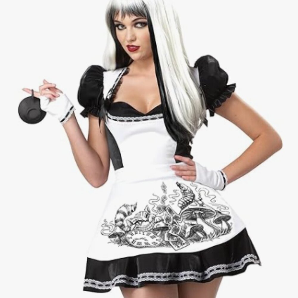 Alice in Wonderland cosplay/costume Adult